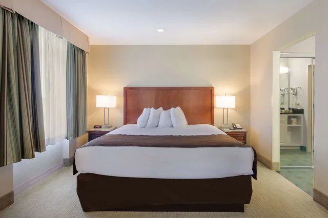 جناح بغرفة نوم واحدة مفردة بسرير كينج مع أريكة، MainStay Suites Roanoke Airport, VA 1/10