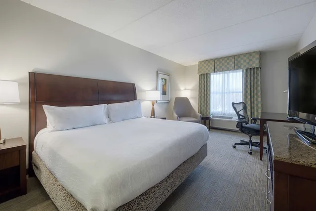 Evolution, King Bed، Hilton Garden Inn Durham Southpoint, NC 1/5