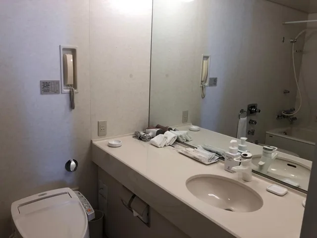 Suite, KUSHIRO PRINCE HOTEL 5/10