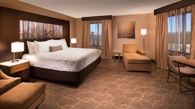 غرفة قياسية كبيرة بسرير كينج مع أريكة، Aiden by Best Western Warm Springs Hotel and Event Center 3/8