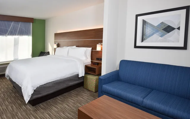 جناح بسرير كينج، Holiday Inn Express Hotel & Suites Selma 1/3