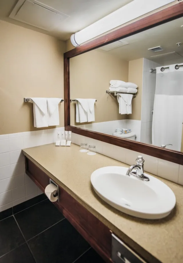 غرفة قياسية بسرير كينج، The Explorer Hotel 3/4