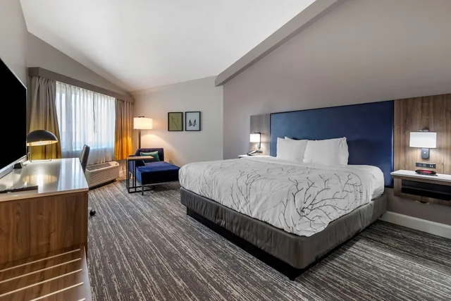 غرفة قياسية بسرير كينج بشرفة لذوي الإعاقة، Best Western Denver East 6/10