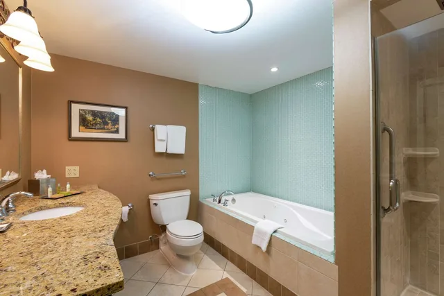جناح جونيور، Doubletree By Hilton Hotel Grand Rapids Airport 4/4