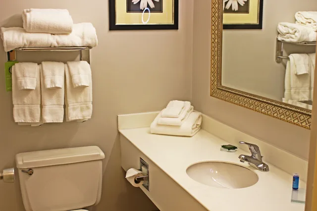 غرفة قياسية بسريرين كوين، Clarion Inn Sheffield Muscle Shoals 4/5