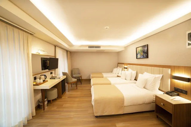 غرفة قياسية ثلاثية، Erboy Hotel Istanbul 1/8