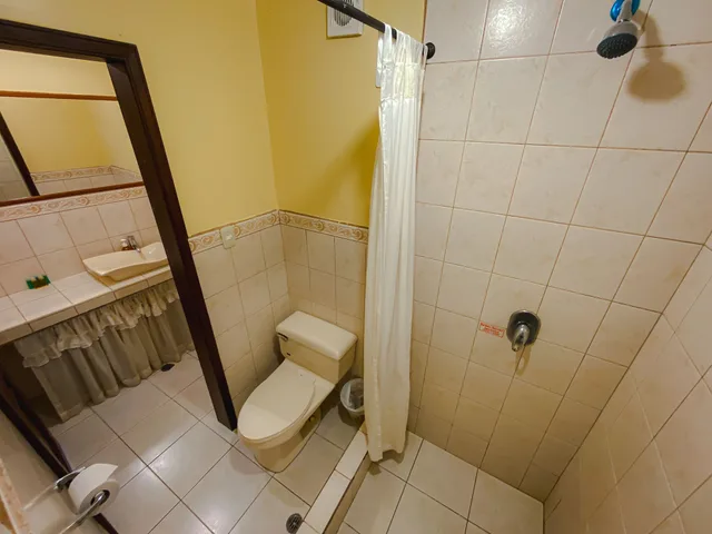 غرفة سوبيريور بسرير كينج، Villa de Tacvnga Hotel 3/4