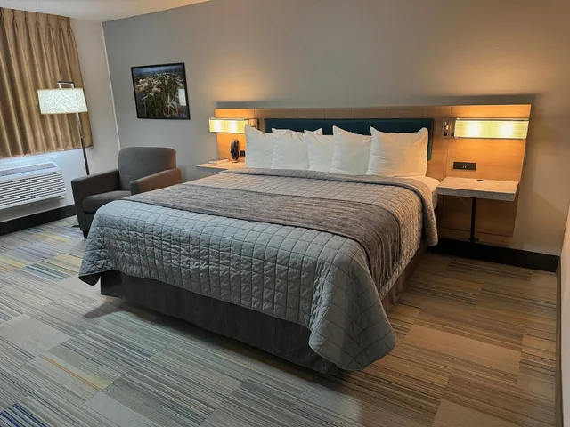 غرفة قياسية بسرير كينج، Park Inn by Radisson Maryville 2/6