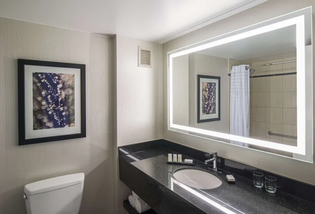 جناح أساسي بسرير كينج مع أريكة، Embassy Suites by Hilton Chicago Downtown Magnificent Mile 7/9