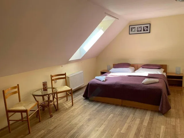غرفة مفردة، Stary Pivovar Hotel 17/26