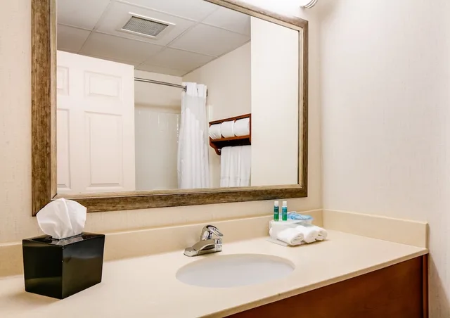 جناح بسرير كينج مع أريكة، Holiday Inn Express Suites Coralville 5/5
