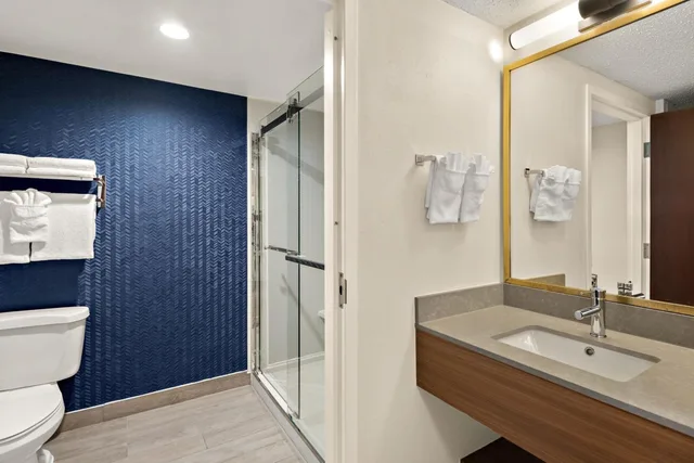 غرفة بسرير كينج بحوض استحمام لذوي الإعاقة، Fairfield Inn And Suites By Marriott Chesapeake 9/10