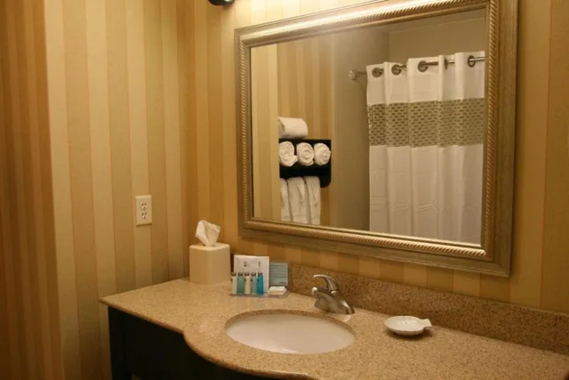 استوديو بسرير كينج، Hampton Inn Chicago Saint Charl 2/2