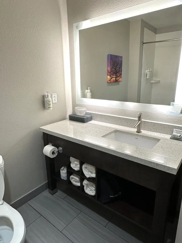 Deluxe, Studio, Suite, King Bed, La Quinta Inn & Suites By Wyndham Terre Haute 4/5