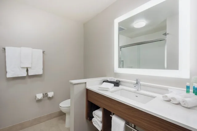 غرفة قياسية بسرير كينج لذوي الإعاقة، Holiday Inn Express And Suites West Plains Southwest 4/4