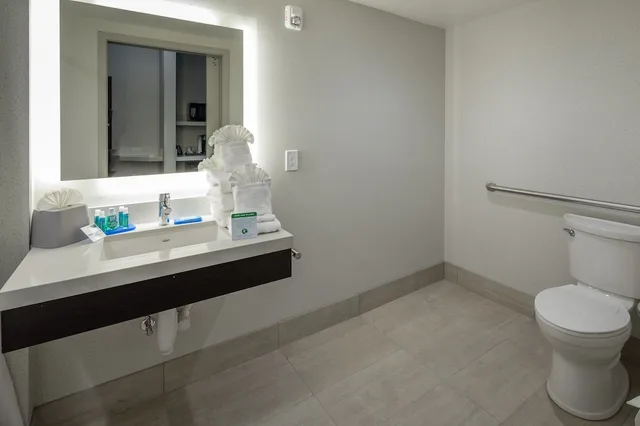 غرفة قياسية بسرير كينج لذوي الإعاقة، HOLIDAY INN EXPRESS SUNNYVALE - SILICON VALLEY 9/10