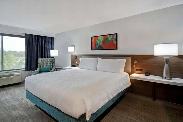 غرفة بريميوم بسرير كينج، Hilton Garden Inn Detroit Metro Airport 2/10