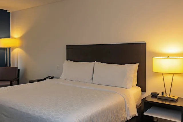 Standard, King Bed, Extra Floor Space، Holiday Inn Express Managua 5/10