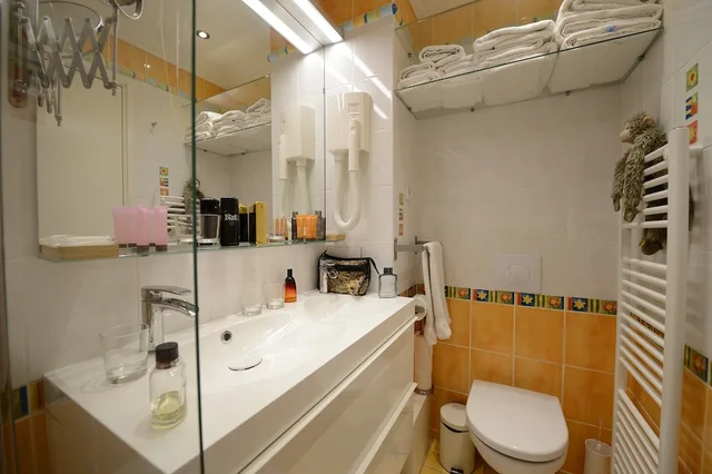 1 Bedroom, Love, Apartment, Double Bed, 2 Sofa، Les Patios Du Marais 4/5