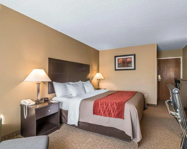 Efficiency, King Bed، Comfort Inn Saugerties 2/4