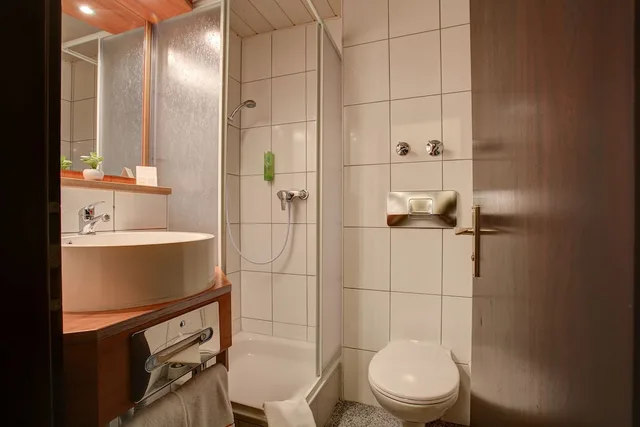 غرفة قياسية بسرير كوين بإطلالة على المدينة، Trip Inn Hotel Blankenburg 3/4