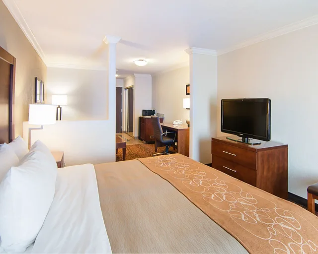 غرفة بسرير كينج لذوي الإعاقة، Comfort Inn & Suites Houston West-Katy 1/5