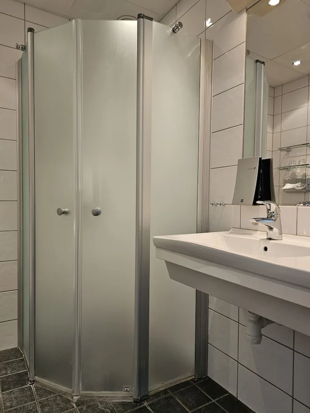 Standard, Queen Bed, Pool Access، Hotel Skansen 4/4