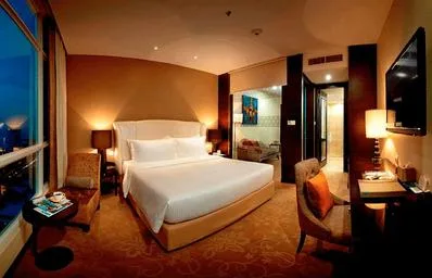 جناح بريميوم ديلوكس بسرير كينج، Hatten Hotel 1/1