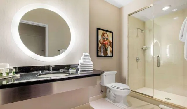 غرفة قياسية مزدوجة بسرير كوين، The Chicago Hotel Collection Magnificent Mile Hotel and Suites 2/2