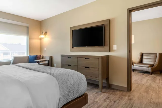 جناح بسرير كينج لذوي الإعاقة، Cambria Hotel Fort Mill 2/3