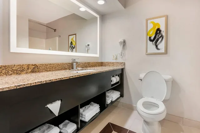Suite, King and Queen Bed, Comfort Inn & Suites Saint Louis Lafayette Square 4/5