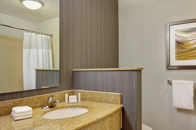 غرفة بسرير كينج مع أريكة لذوي الإعاقة، Courtyard Fort Lauderdale SW Miramar 6/6