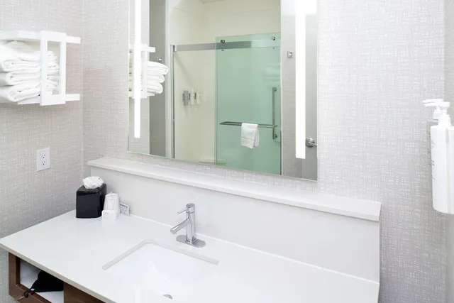 جناح استوديو بسرير كينج مع أريكة، Hampton Inn Suites Greenville 10/10