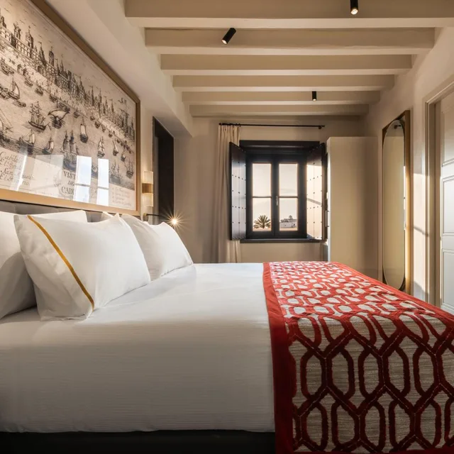 جناح جونيور بإطلالة، Aurea Casa Palacio Sagasta 6/8