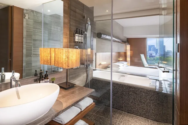 غرفة كلوب بسرير كينج، Hyatt Regency Tokyo 4/5