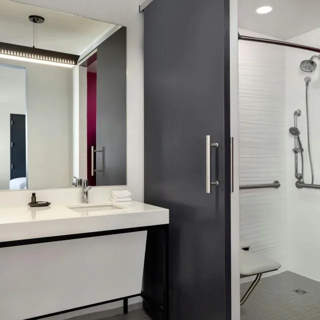 Aloft, Guest Room, 2 Queen Beds، Aloft Houston Galleria Hotel 8/8