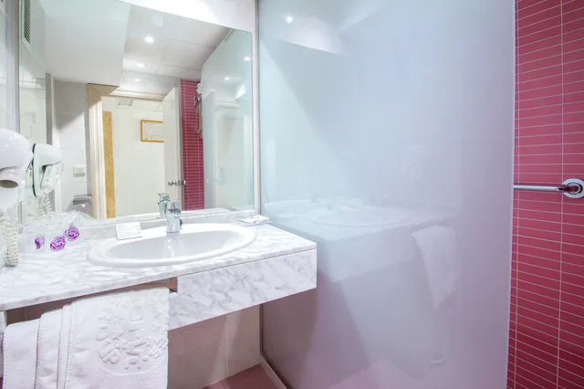 غرفة بإطلالة على البحر مفردة بسرير مزدوج، Servigroup Torre Dorada 8/8