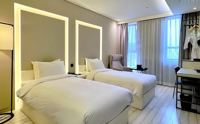 غرفة سوبيريور بسريرين منفصلين بإطلالة على المدينة، Hotel The Designers LYJ Gangnam Premier 1/2