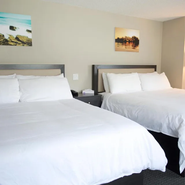 غرفة بسريرين كينج بجاكوزي، Valemount Vacation Inn 5/7