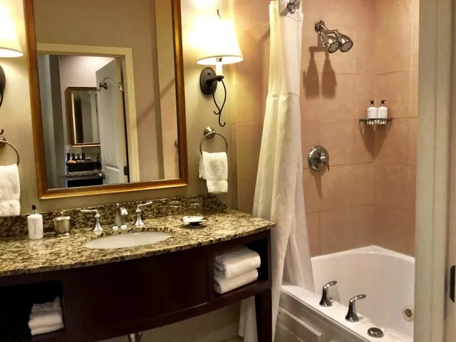 Deluxe, King Bed, River View, River Terrace Inn 9/10