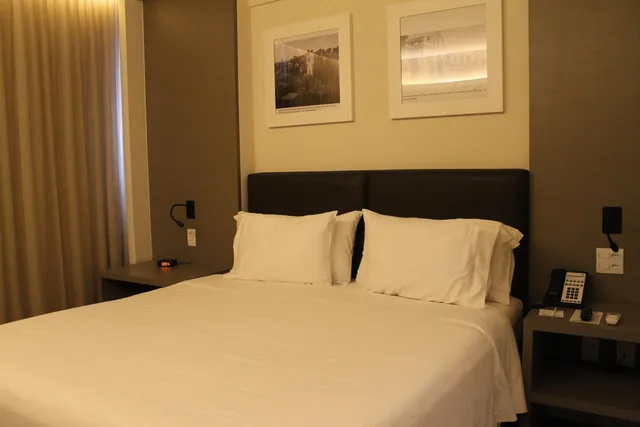 غرفة قياسية بسرير مزدوج، HOLIDAY INN GOIANIA 3/10