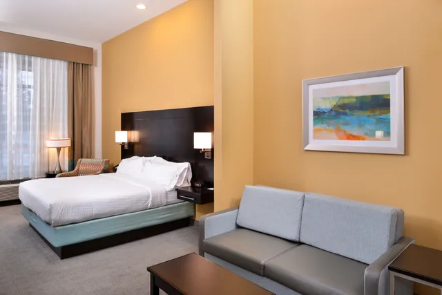 جناح بسرير كينج مع أريكة، Holiday Inn Express And Suites Austin South 1/6