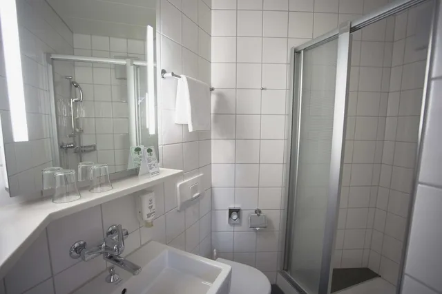 Budget, Double Bed, Small, Bristol Hotel Zurich 4/4