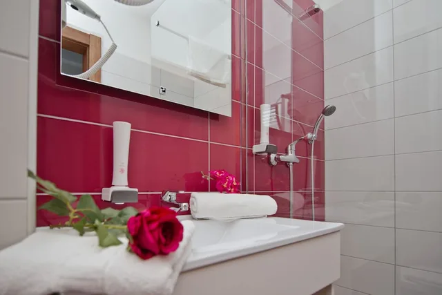 غرفة قياسية بإطلالة على المدينة مفردة بسرير فردي، Medjugorje Hotel Spa 9/9