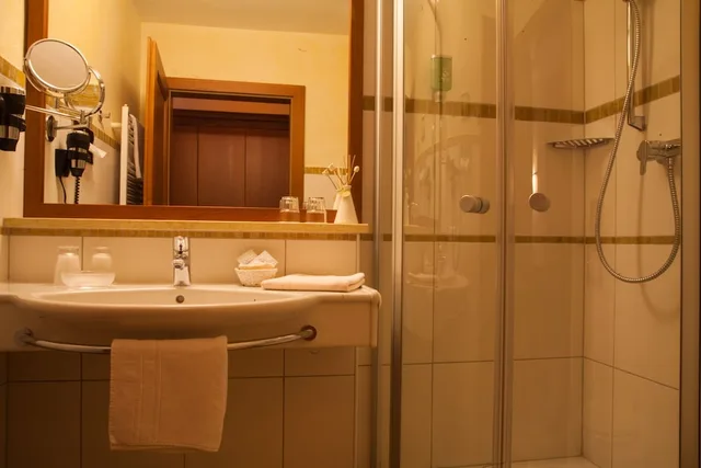 Comfort, King Bed, Balcony, Hotel Sallerhof 4/4