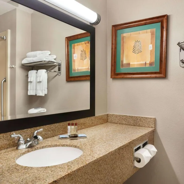غرفة ديلوكس بسرير كينج لذوي الإعاقة، Wingate By Wyndham Bentonville Airport 5/7
