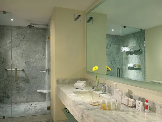 غرفة ديلوكس تنفيذية بسرير كوين، HS HOTSSON Hotel Silao 3/3