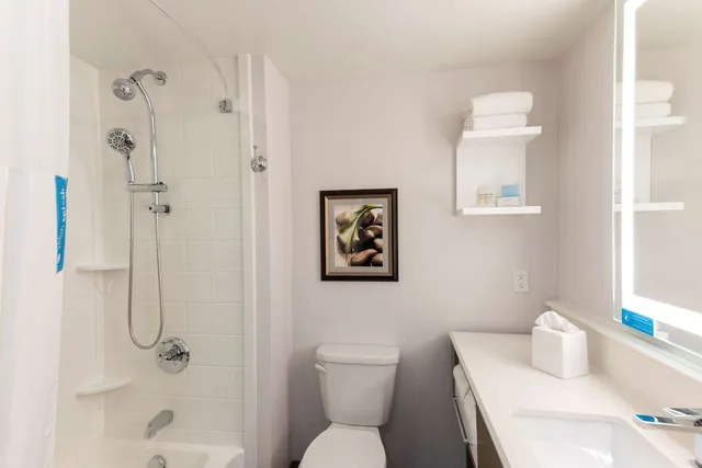 غرفة بسريرين كوين مع أريكة لذوي الإعاقة، Hampton Inn Holland 3/3