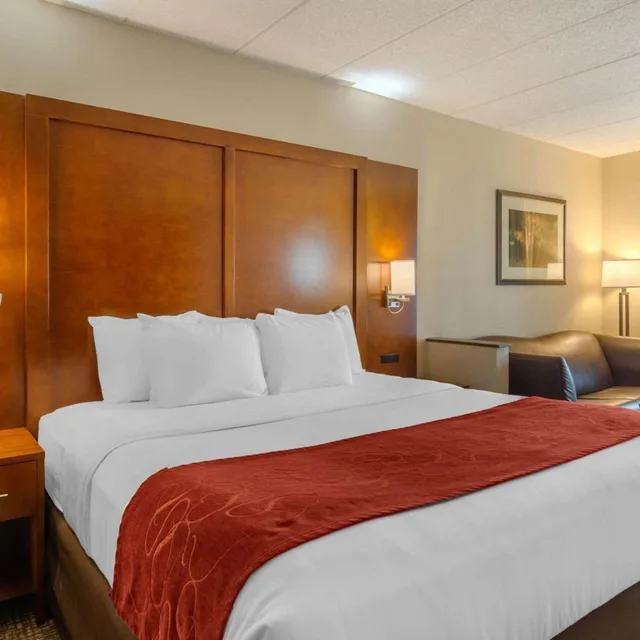 غرفة قياسية بسرير كينج، Comfort Suites South Park 2/5