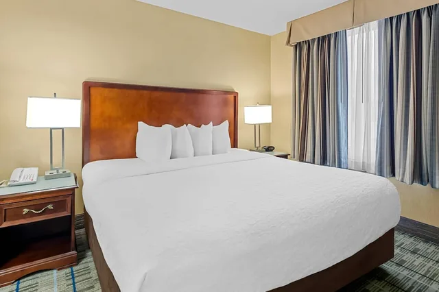جناح بغرفة نوم واحدة مفردة بسرير كينج مع أريكة، MainStay Suites Roanoke Airport, VA 6/10